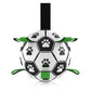 Interaktiv hundfotboll