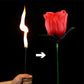 🔥Magic Rose - Fackla till ros💖