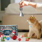 2025 julkalender med leksaker för katt och hund
