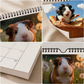 🐹 Et helt år med søde marsvin – charmerende vægkalender